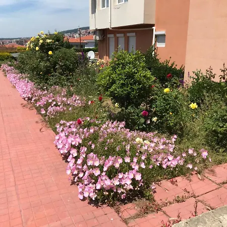 Vista דירה סבטי ולאס