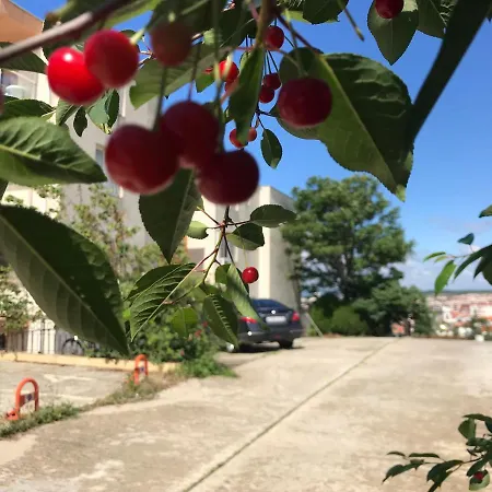 Appartamento Vista *